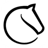 Chess.com